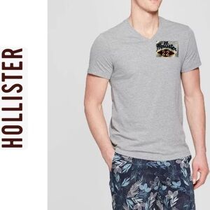 Hollister Gray Men's V-Neck T-Shirt L